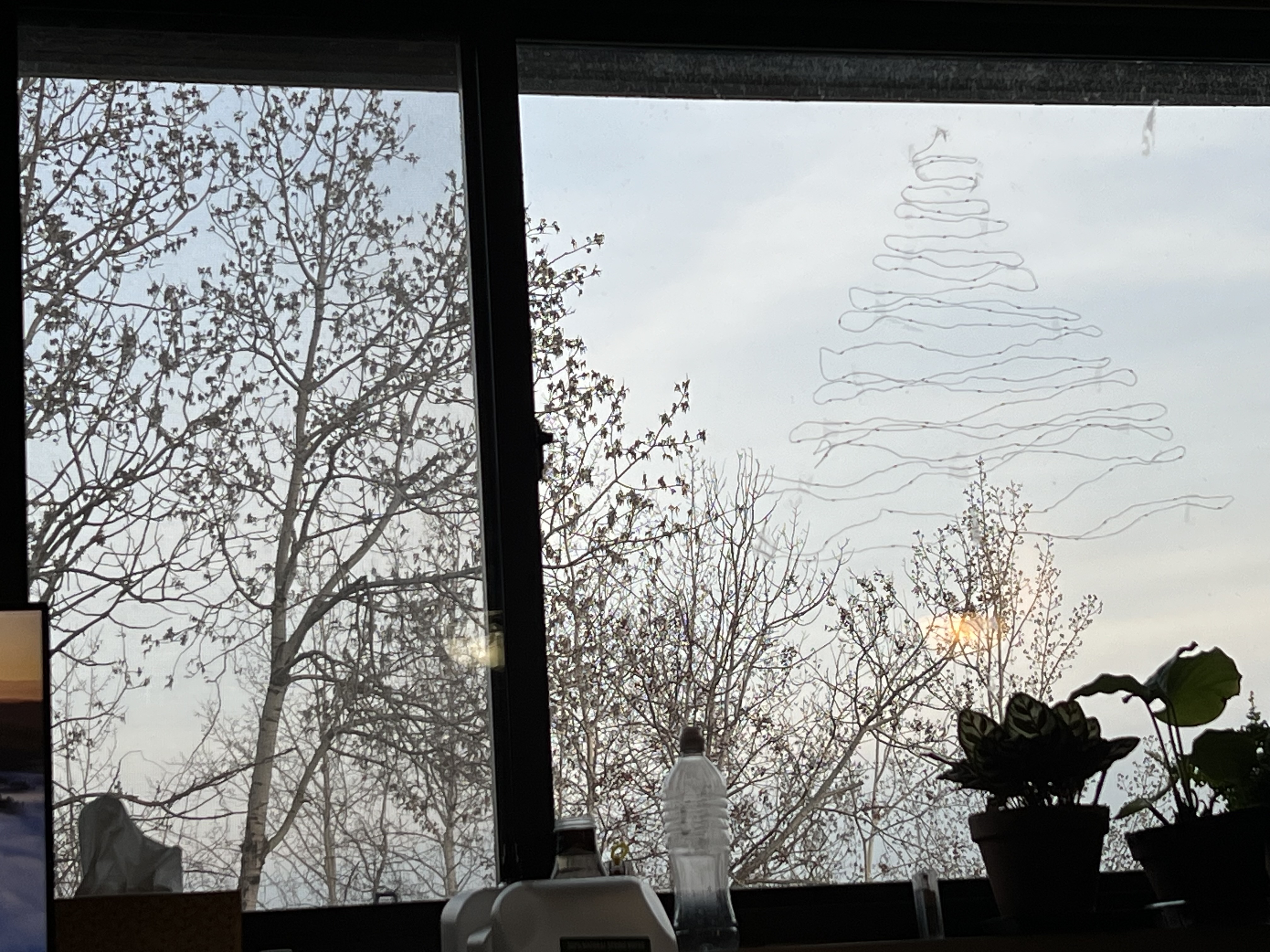 031-spring-trees.jpeg