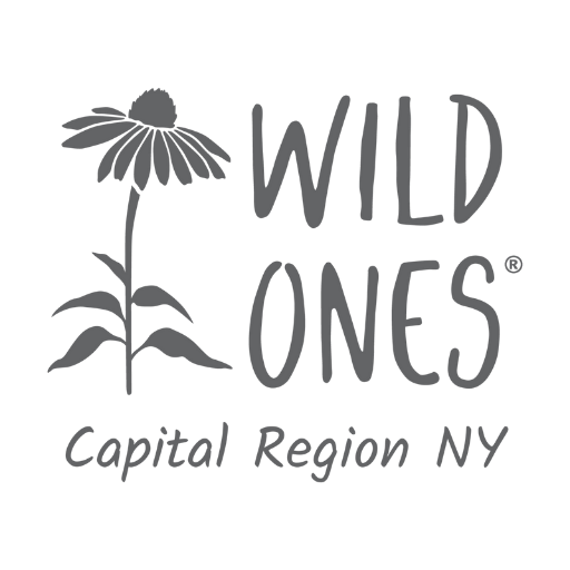 Wild Ones Capital Region NY
