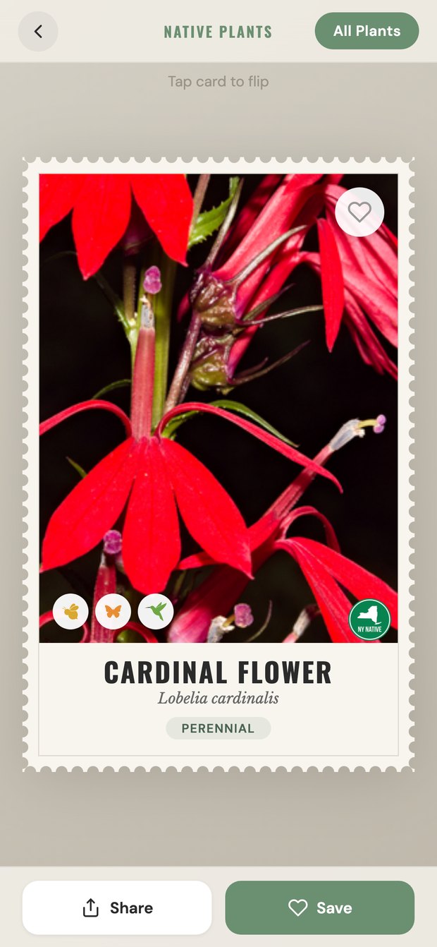 The plant page on a phone, showing the card front